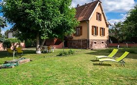 La Maison de Vacances de Colmar et son jardin